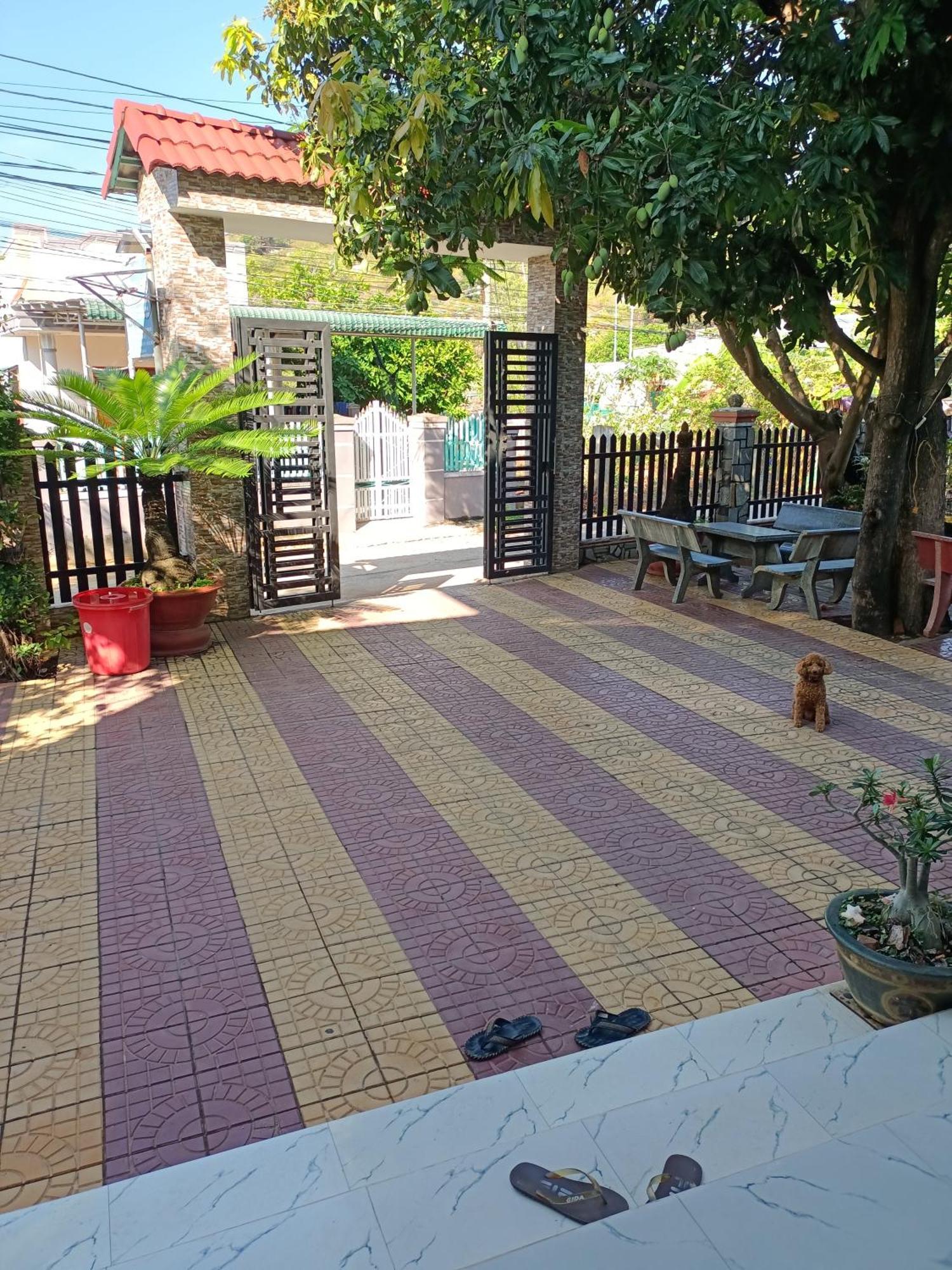 Hotel Khach San Mong An Vinh Hy Exteriér fotografie